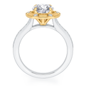 Round Diamond Cathedral Style Engagement Ring in 14K Two Tone Gold (Semi-Mount)