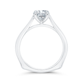 Euro Shank Solitaire Engagement Ring  in 14K White Gold (Semi-Mount)