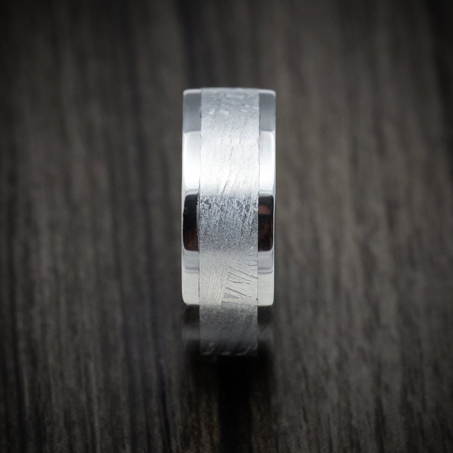 Tantalum and Gibeon Meteorite Men's Ring with Wood Sleeve