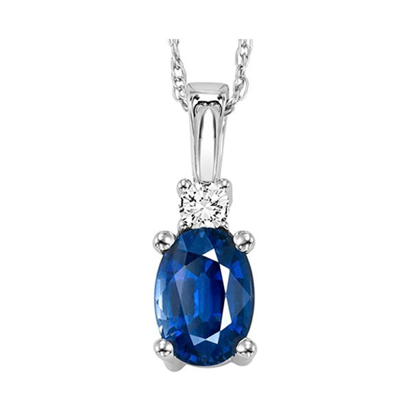 14Kt White Gold Diamond 1/20Ctw & Sapphire 5/8Ctw Pendant